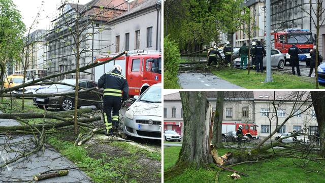 VIDEO Nevrijeme izazvalo kaos i kod Siska: Vjetar rušio stabla na automobile i čupao stupove