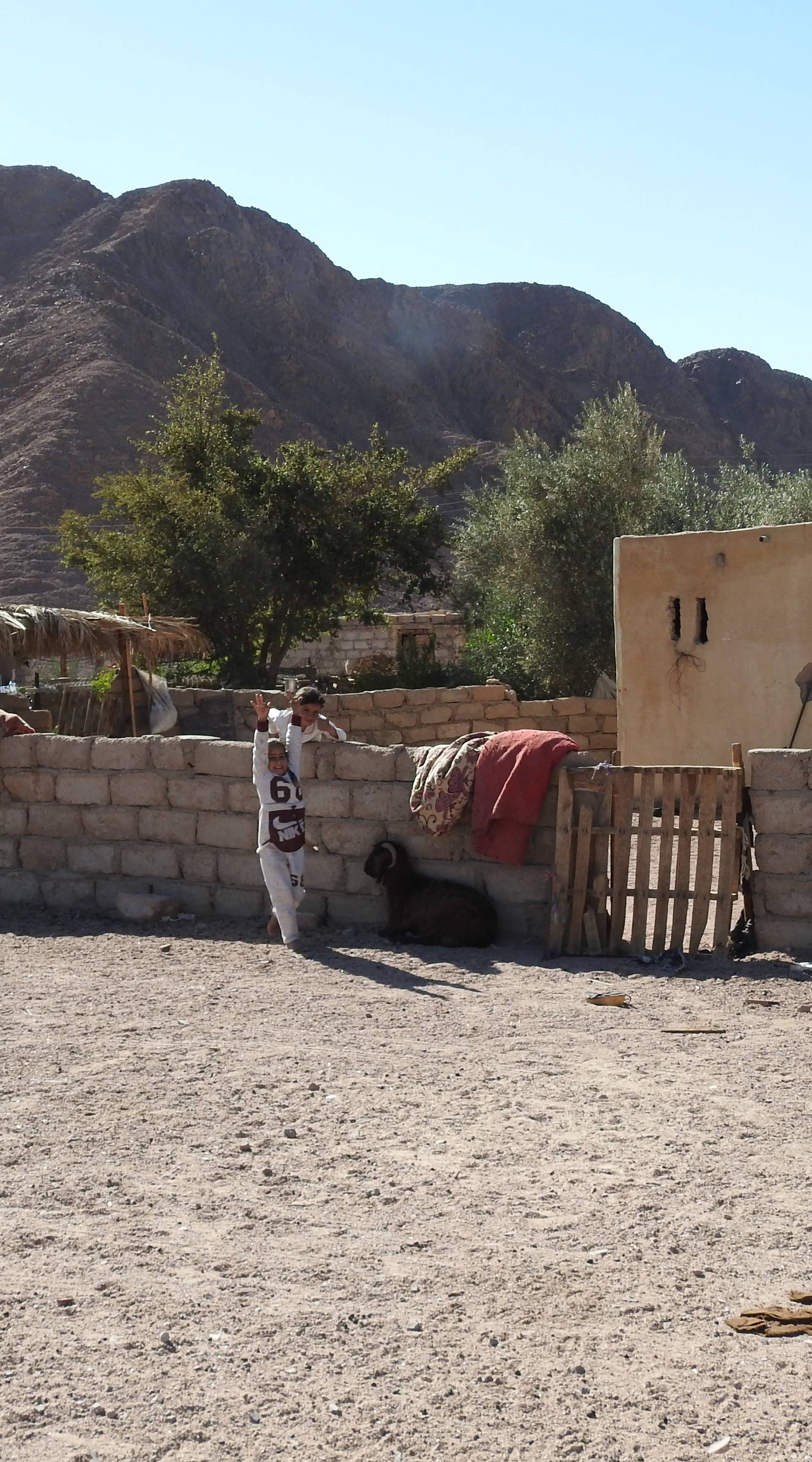 Novinar 24sata: Beduin me u pustinji htio za svojega zeta...