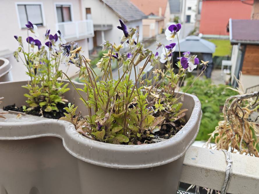 Isprobali smo Xiaomi Pad 7 Pro: Pravi multipraktik lako može zamijeniti i vaš laptop za rad