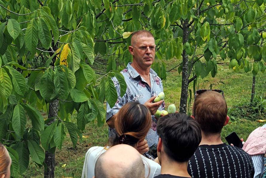 Počinje 6. Festival indijanskih banana: Saznajte sve o ovom zdravom voću i zabavite se