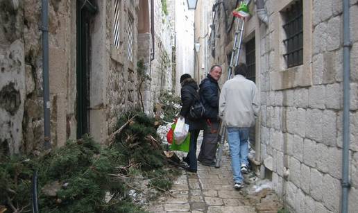 Čempres dug 20 m srušio se na ulicu u Dubrovniku