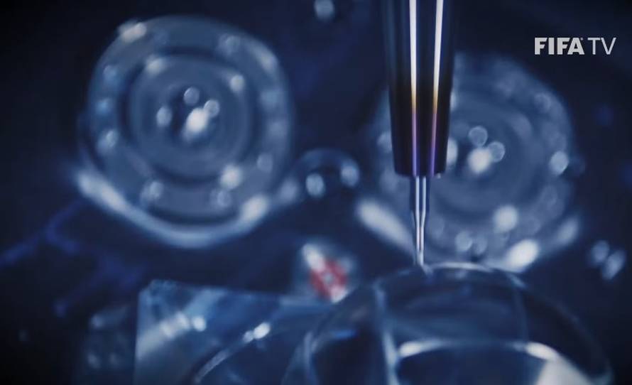 Fifin trofej osmislila Hrvatica: Oduševila je i Zvonu Bobana...