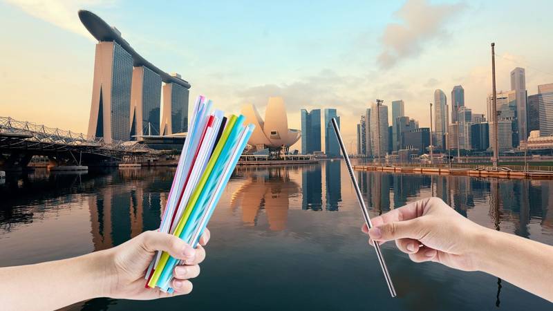 Francuz (18) u Singapuru lizao slamku pa je vratio među čiste. Prijeti mu dvije godine zatvora