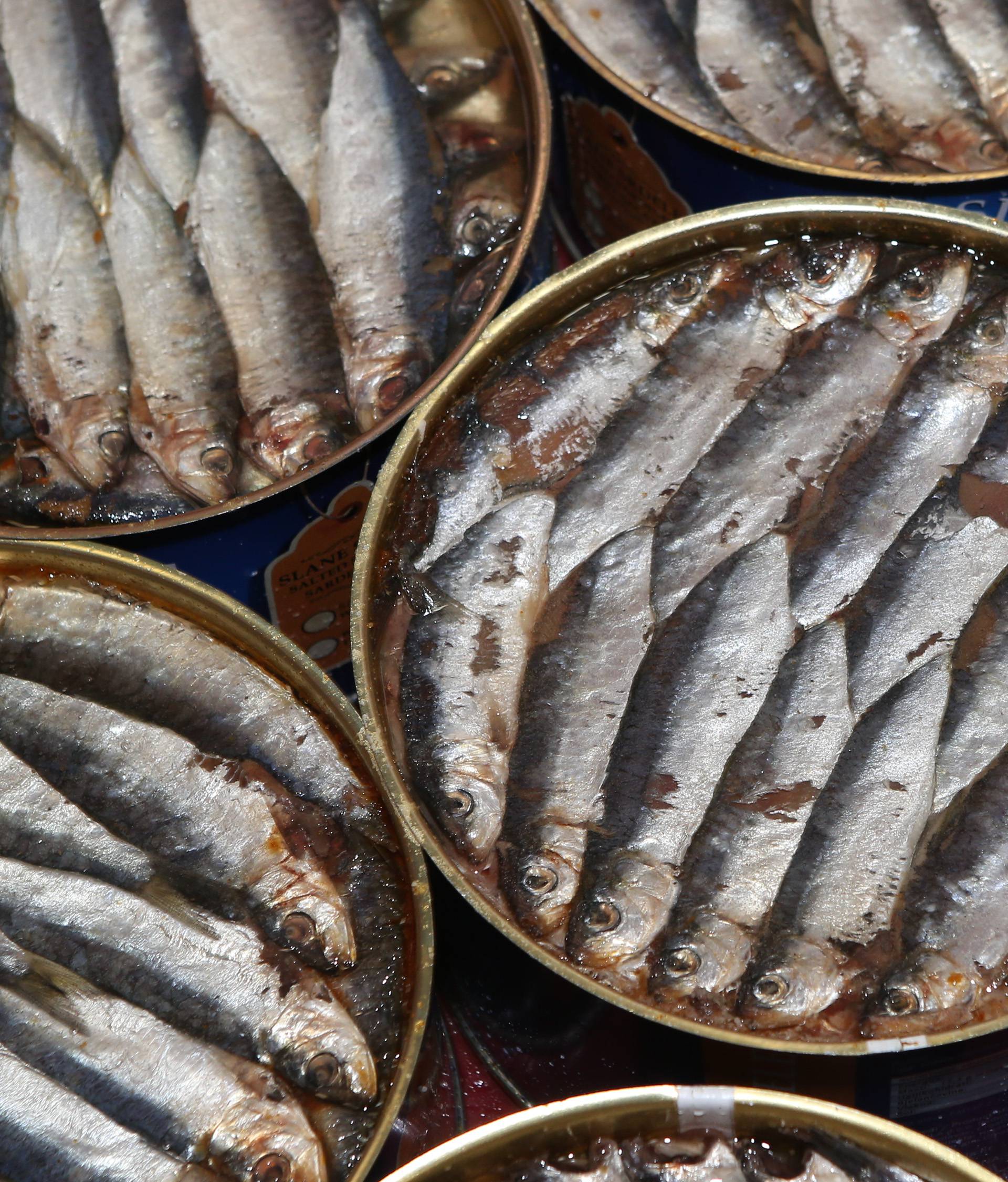 Talijan prerađuje ribu u Muću: "Od jezika teža je birokracija"