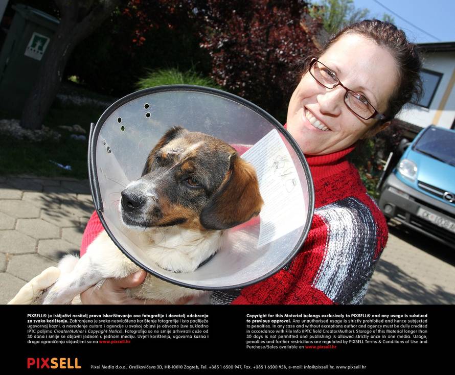 Vjeran Žganec Rogulja/PIXSELL