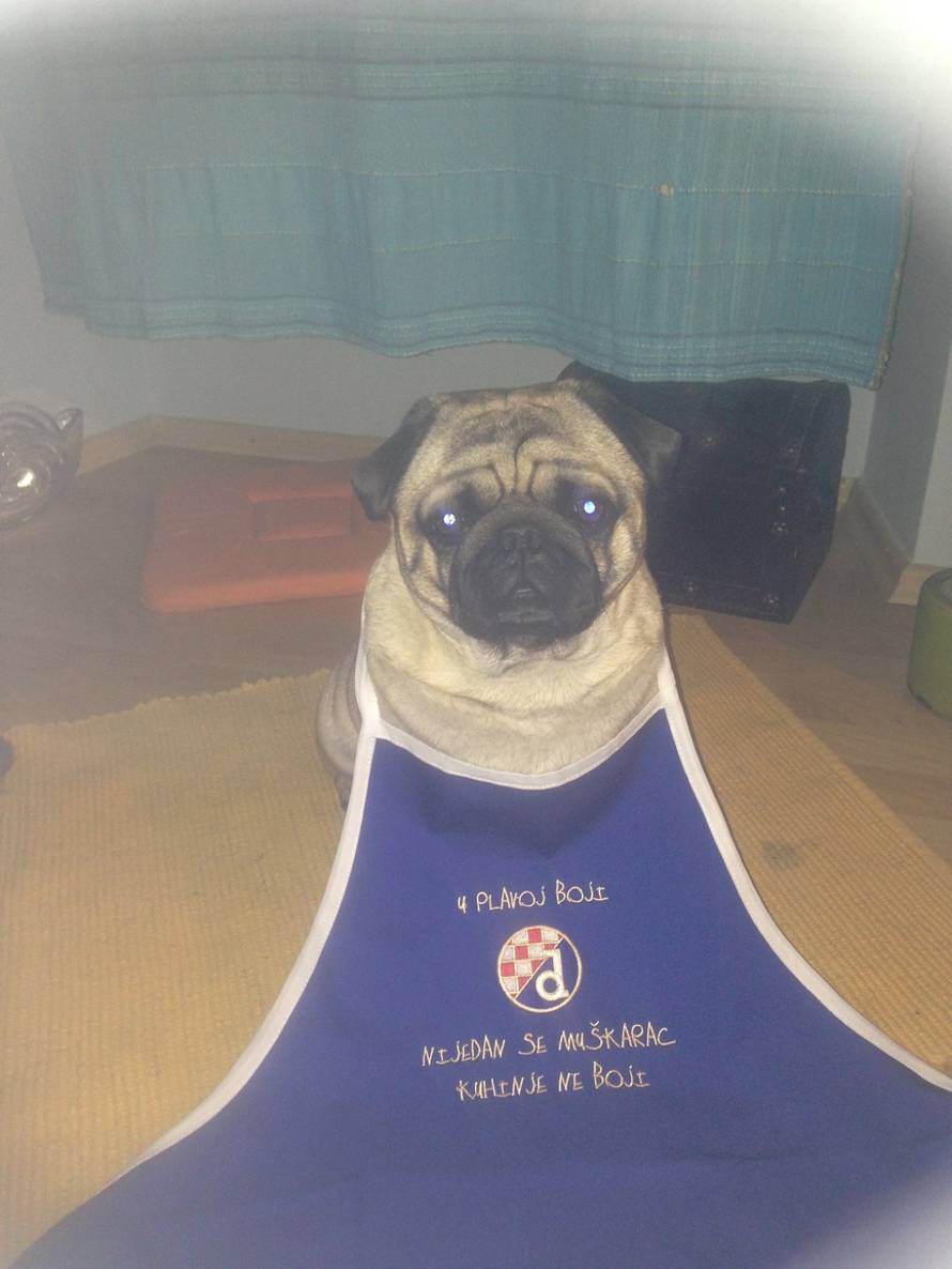 24ljubimci/Fotografije čitatelja