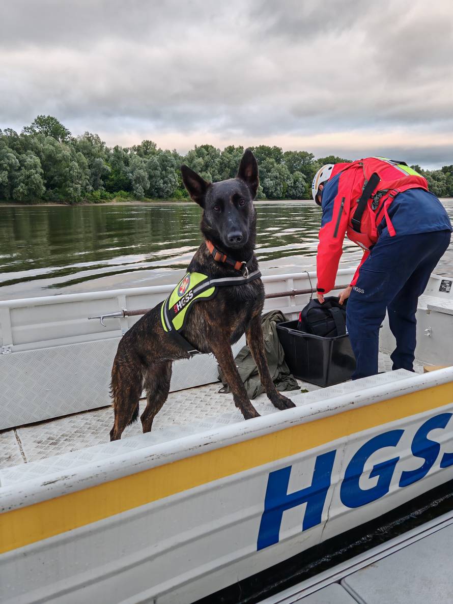 Belgijska ovčarka Luna sudjeluje u potrazi za nestalim djetetom
