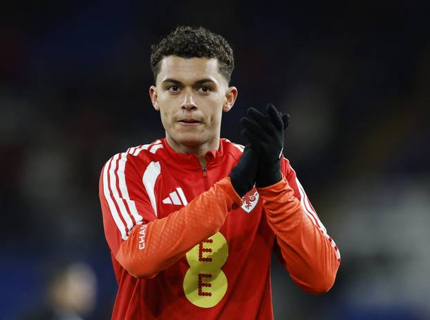 FIFA World Cup - UEFA Qualifiers - Semi Final - Wales v Bosnia and Herzegovina