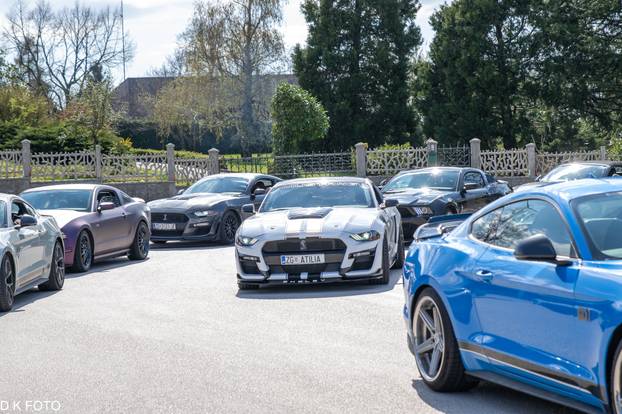 GALERIJA Kultni američki Mustanzi zablistali su u Rovinju