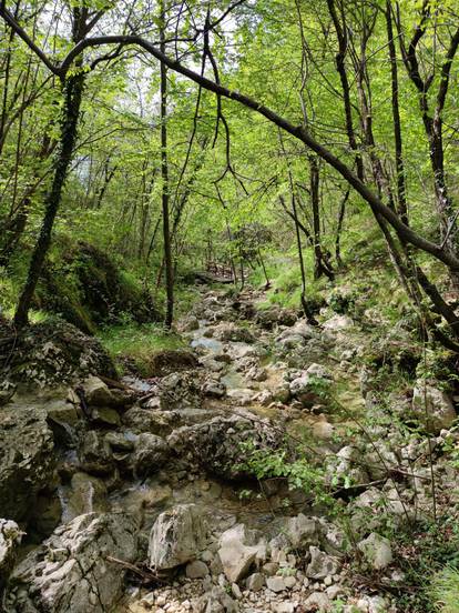 Park prirode Učka