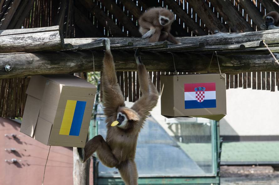 Gibon Kent prognozira: Tko će dobiti - Ukrajina ili Hrvatska?