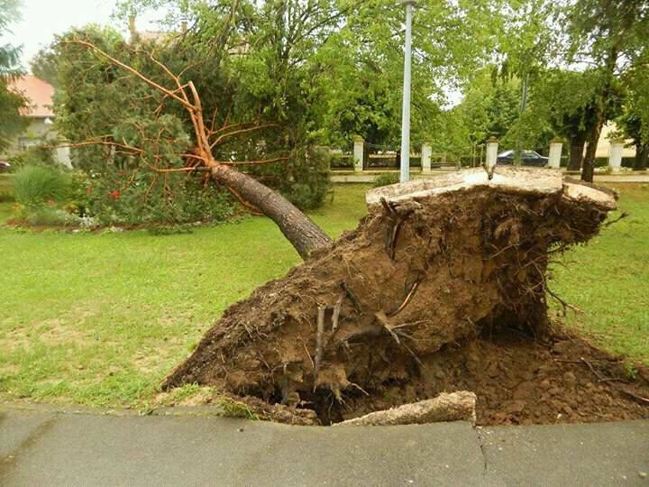 Poplavljen Cres, srušena stabla u Popovači, pijavice u Istri...