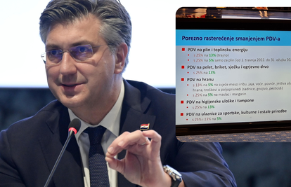 Ovo su nove mjere: Plenković najavio smanjenje PDV-a na plin, drva, namirnice, uloške...