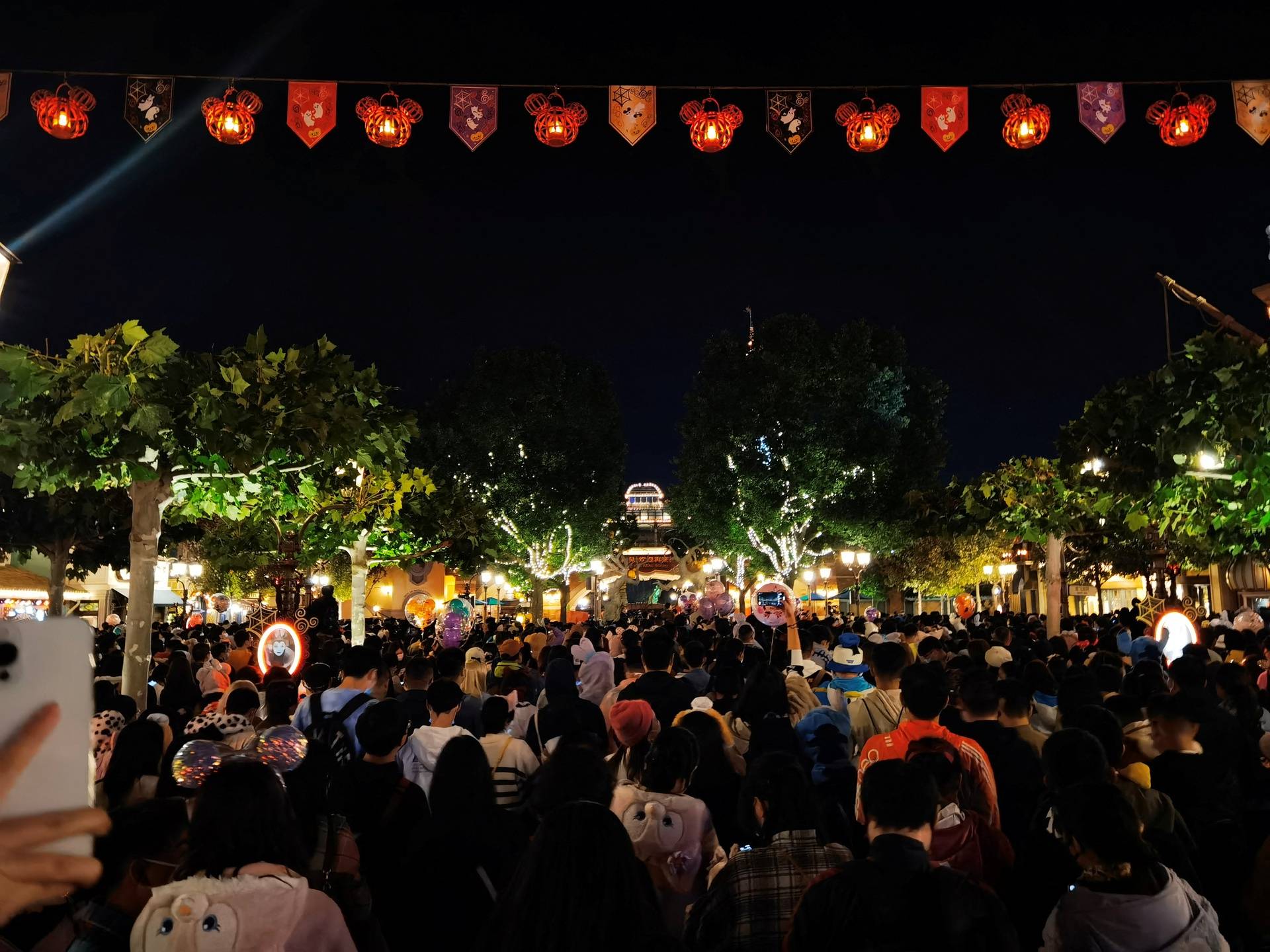 Crowd at Shanghai Disney Resort in Shanghai