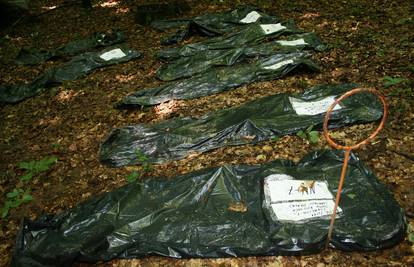 Likvidacije 1945.: U šumi kod Karlovca ekshumirali 9 kostura