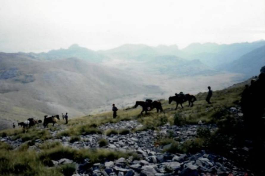 Duška je u Oluji bila medicinska sestra na Velebitu: 'Ništa nije bilo svetije nego poći tamo...'