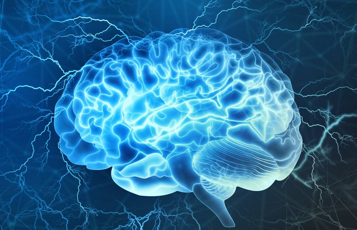 5 je različitih tipova mozga: Koji je vaš i kako to utječe na život?