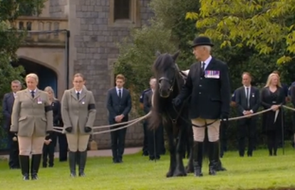 VIDEO Kraljičin omiljeni poni gledao pogrebnu povorku: 'Emma se pokušala nakloniti'