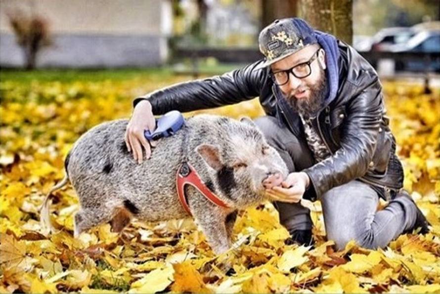 Praščić Bacon živi u stanu u Prečkom i obožava duge šetnje