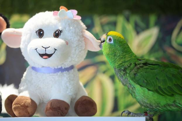 Zagreb: Emilija i Amer Alaydi otvorili su kafić Animal caffe