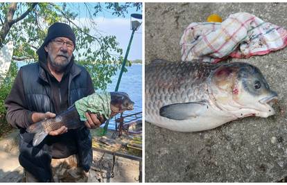 Misterij iz Dunava: Ribič ulovio 'mutanta', društvene mreže gore od nagađanja