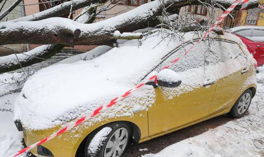 FOTO Osim snijega, u Osijeku palo i stablo na parkirani auto