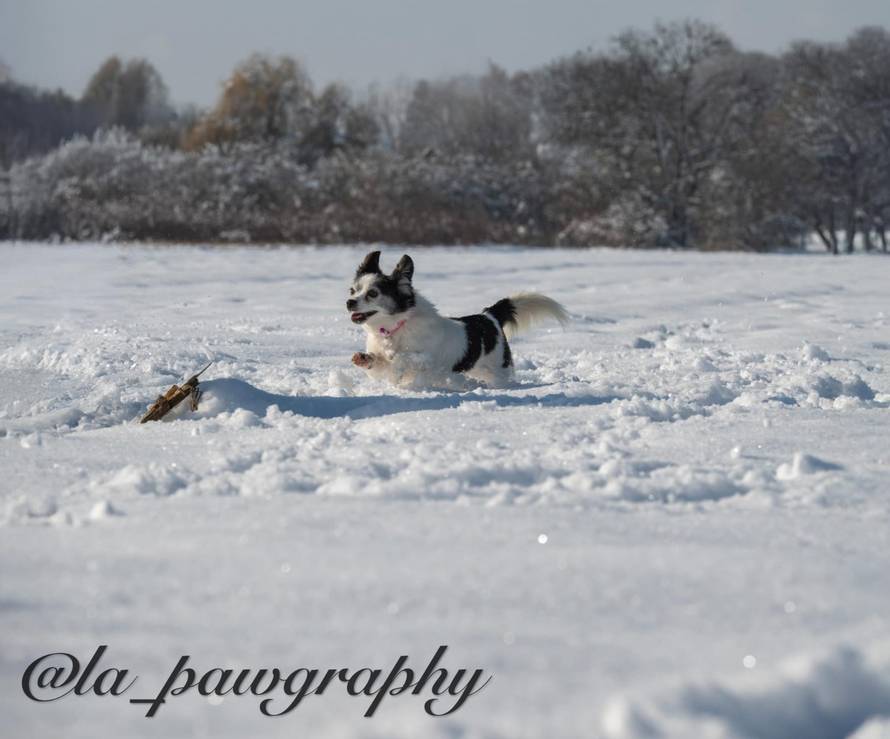 Općinska komunalka sama 'izlopatala' snijeg sa staze: 'Nema nikakve drame u tome'