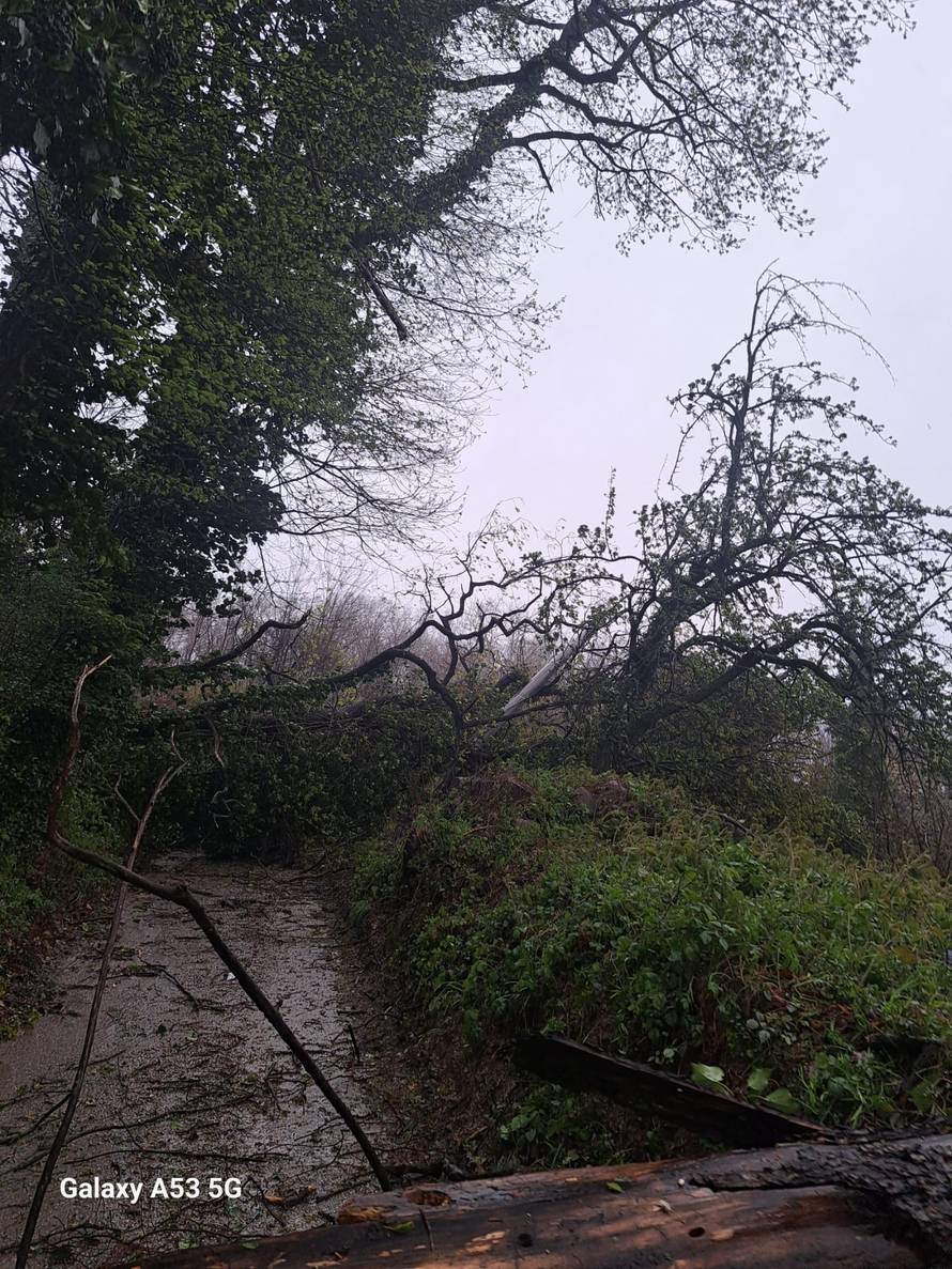 Palo im stablo na kuću: 'Bilo je kao u hororu! Dijete u naručju, puše vjetar, nema rasvjete...'