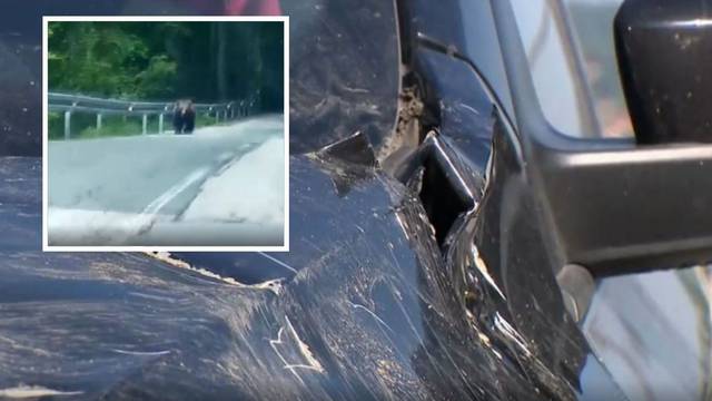 Medvjed u Gorskom kotaru napao i oštetio 5 automobila: 'Grizao je, bio sam u šoku!'
