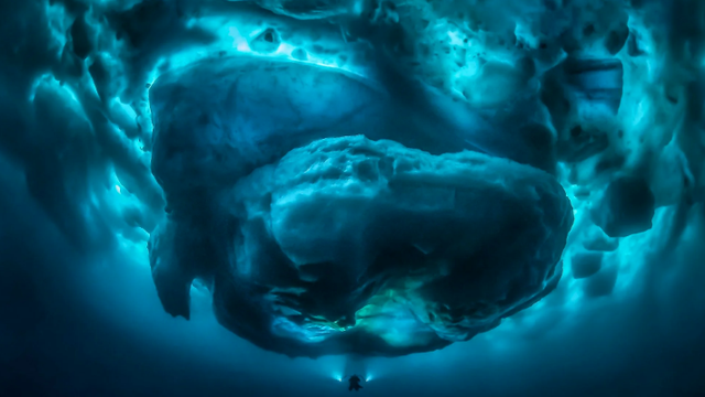 Zaranja pod goleme ledenjake i otkriva podvodni svijet divova