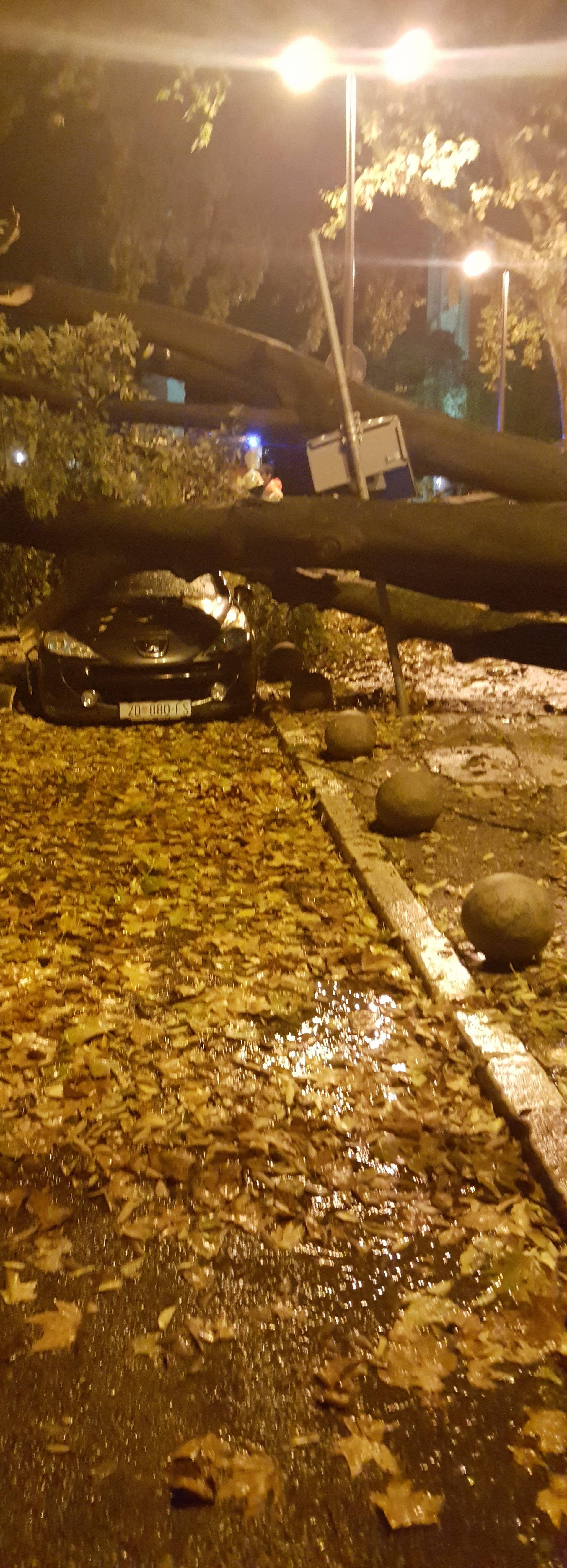 Nevrijeme u Zadru: Srušilo se golemo stablo i zgnječilo aute