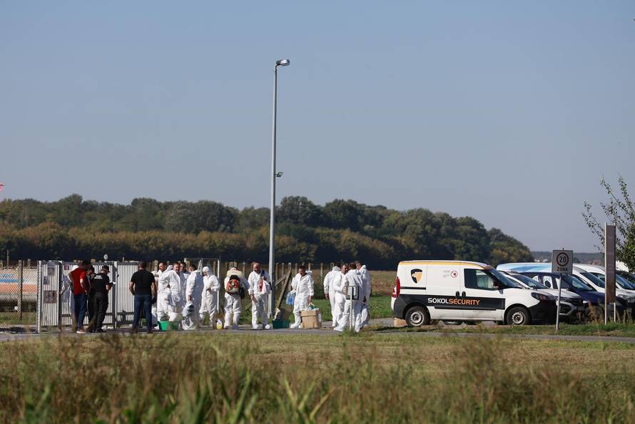 Sokolovac: Kreće eutanazija svinja, uvode se novi sigurnosni protokoli