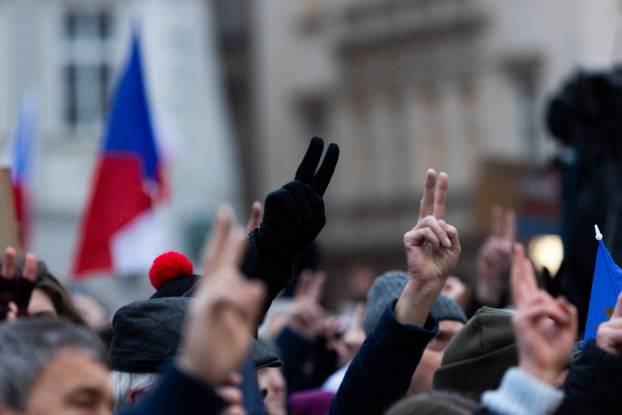 A demonstration in support of Czech President called "We stand for our President" in Prague