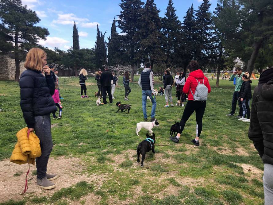 Buldozi će okupirati Hrvatsku: Dođite na proljetnu buldogijadu