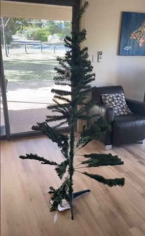 'Naručila sam savršeno drvce za Božić. A doma mi je stiglo ovo'