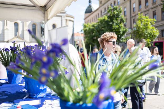 Zagreb: Obilježavanje Dana plavog irisa