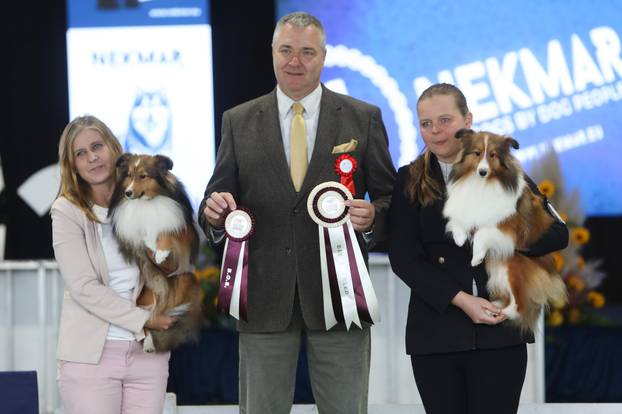 Karlovac: Me?unarodna izložba pasa