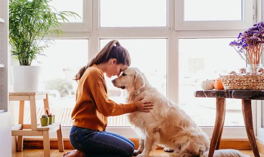 Evo kako psi pokazuju ljubav prema vlasniku - više je načina