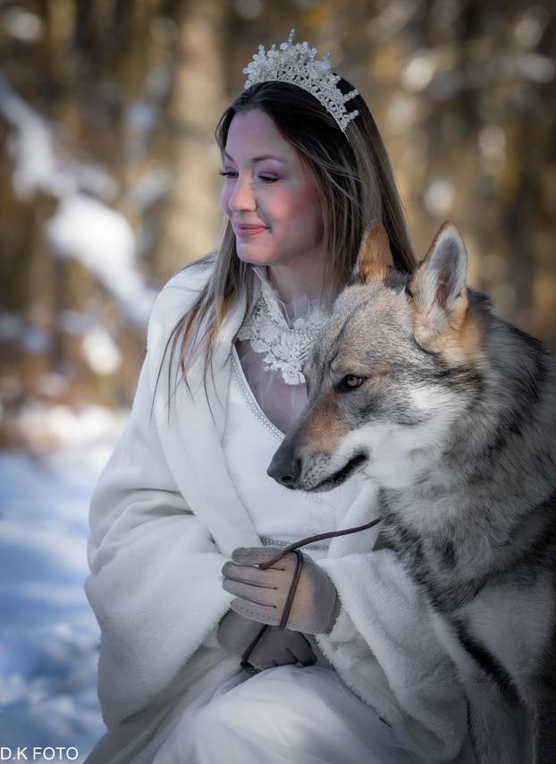 GALERIJA Nastali su od vukova, rođaci su Nazgula s Olimpijskih igara i žive kraj Velike Gorice!