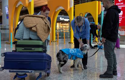Istanbul: Psi u zračnoj luci smanjuju stres kod putnika