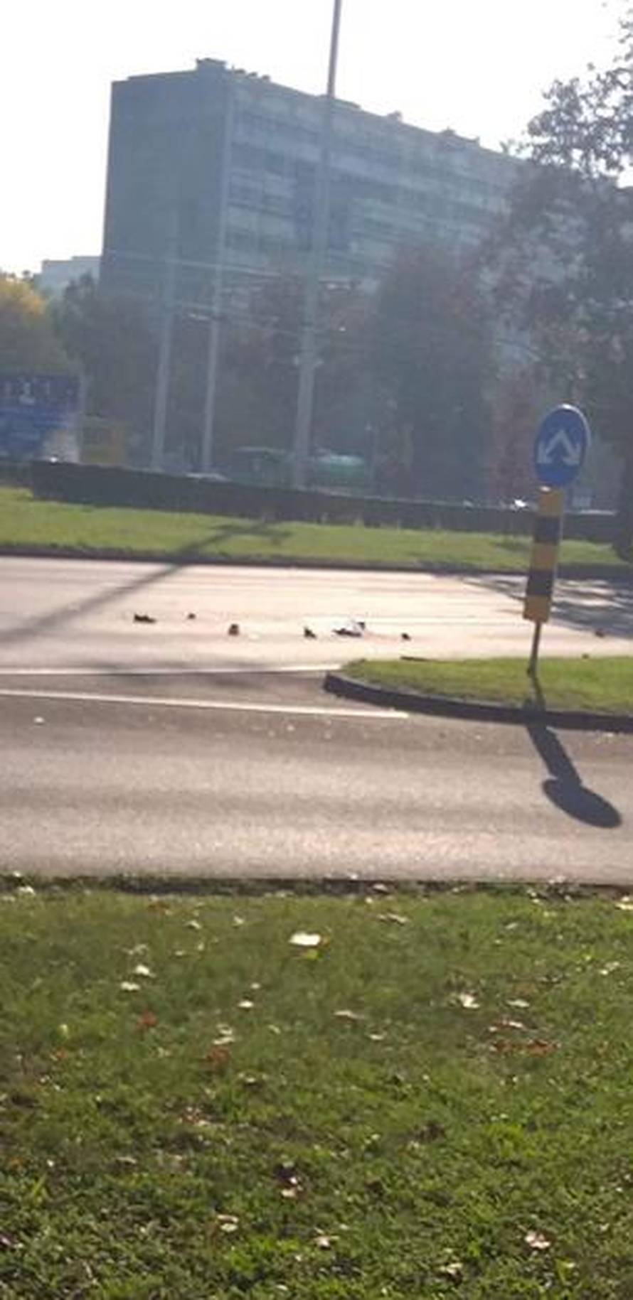 Autom udarila ženu i pobjegla: Policija uhvatila vozačicu (69)