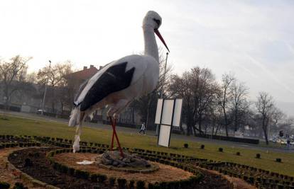 Huliganima zasmetala roda od 5 m, pa su joj "očerupali" rep