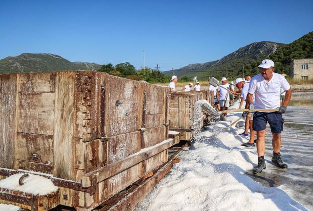 Berba soli u Stonskoj solani
