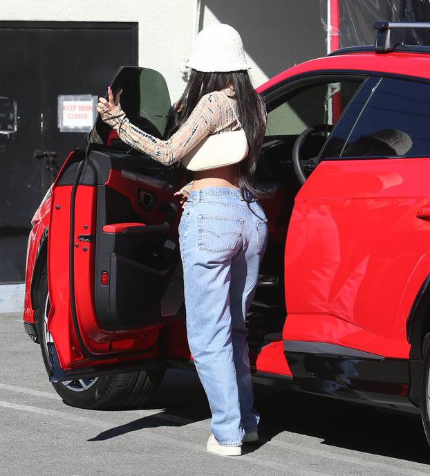 EXCLUSIVE: Kylie Jenner turns heads in a crop-top and denim jeans as she hits up 