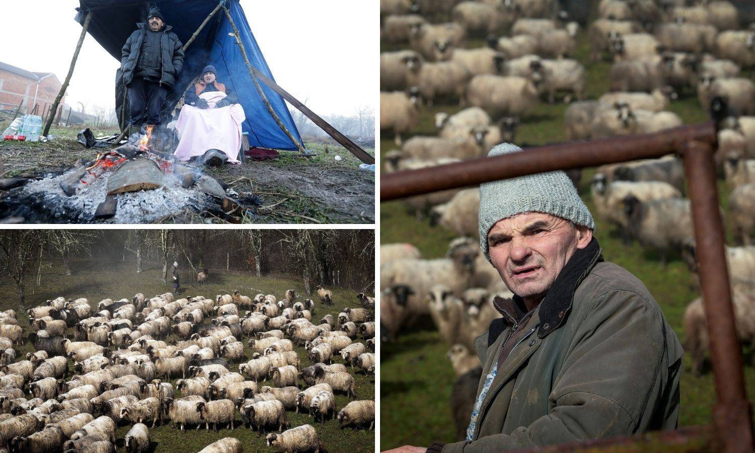 'Kuća mi je ostala čitava, a ovce su se uznemirile prije potresa'