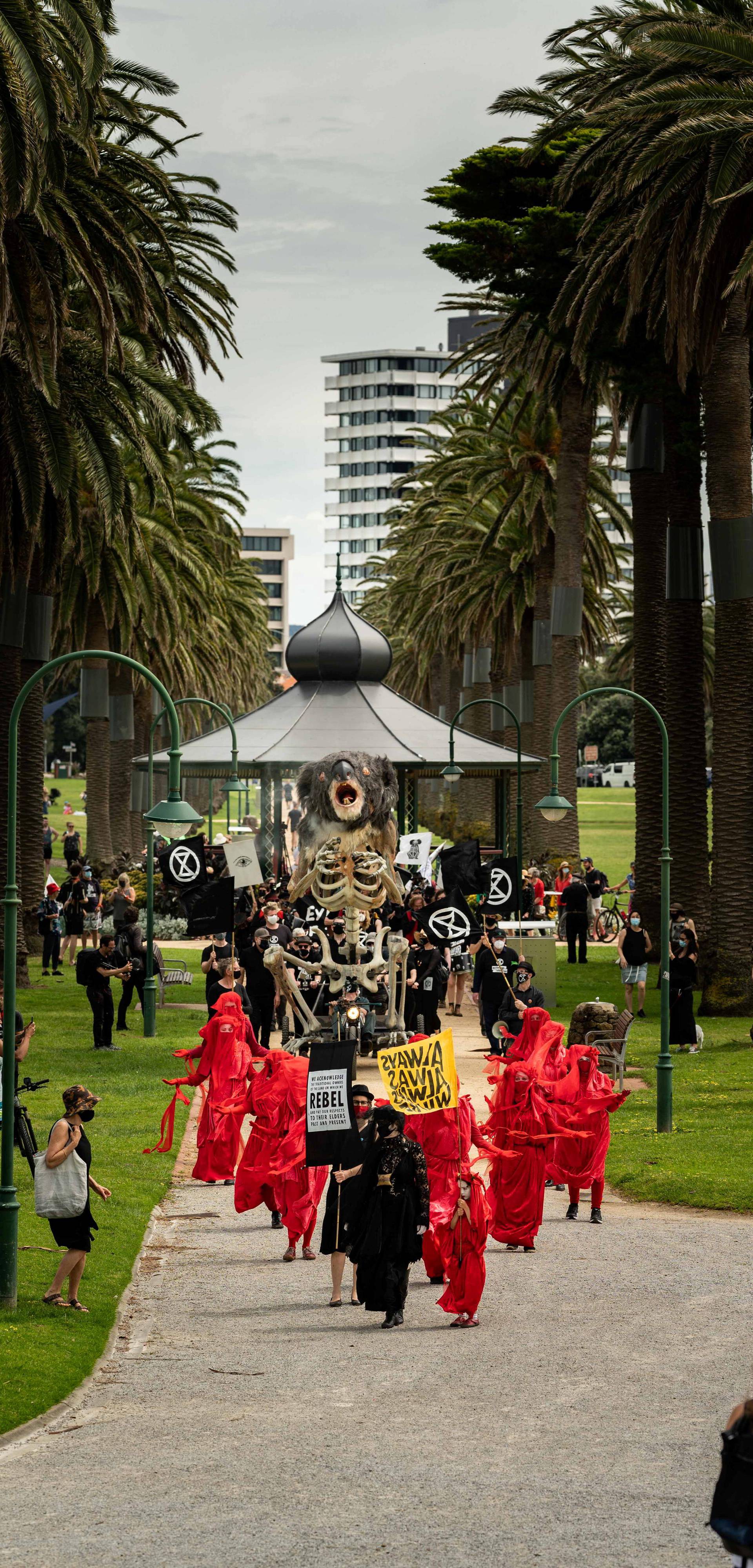 Extinction Rebellion activists hold a koala funeral in Melbourne