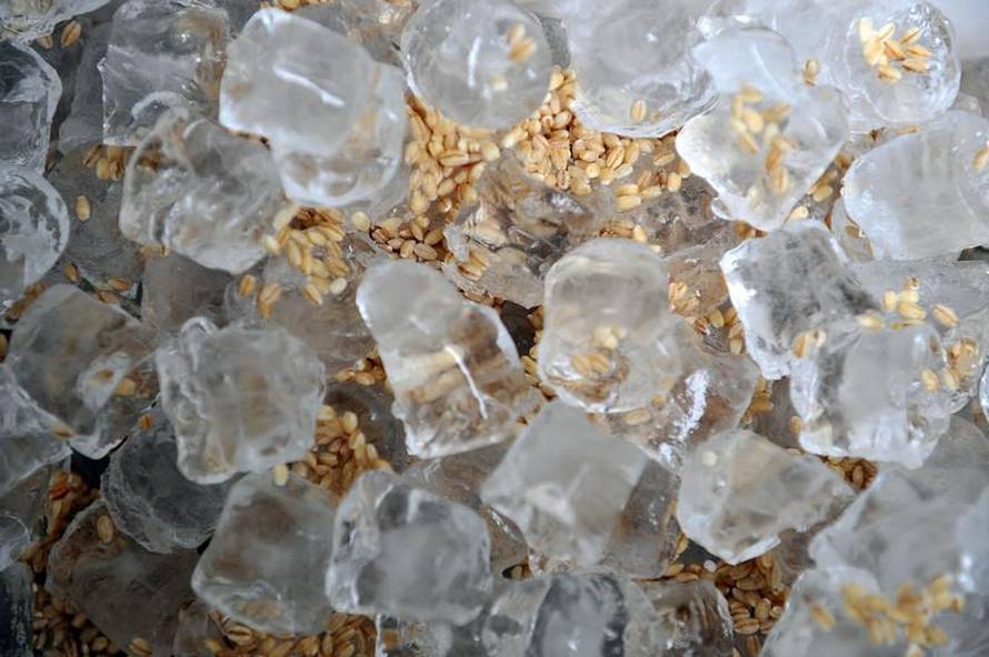 Goran Stanzl/PIXSELL