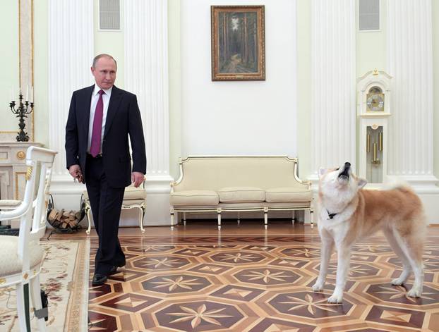 Russian President Putin enters a hall with his dog Yume before giving interview to Japanese Nippon Television and Yomiuri newspaper at Kremlin in Moscow