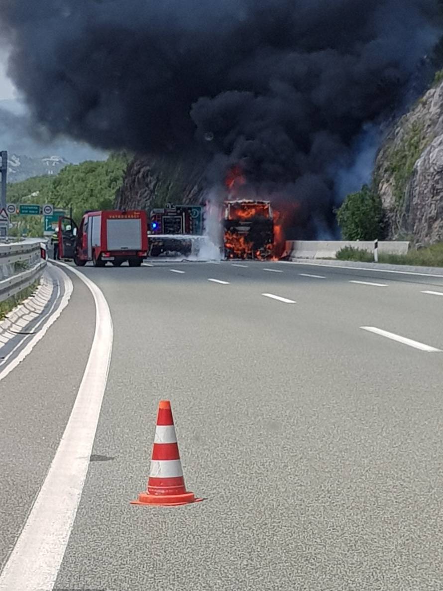 Video: Autobus je izgorio kod Rijeke, požar se širio i na šumu