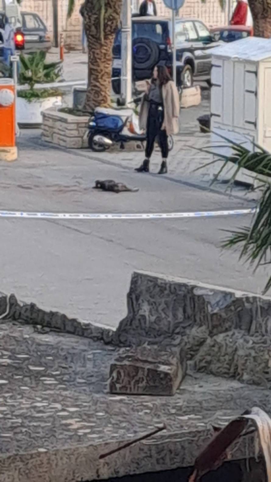 Policajac ubio psa, priveli su liječnicu i njenog dečka: 'Taj pas je ženu zgrabio za ruku i visio...'